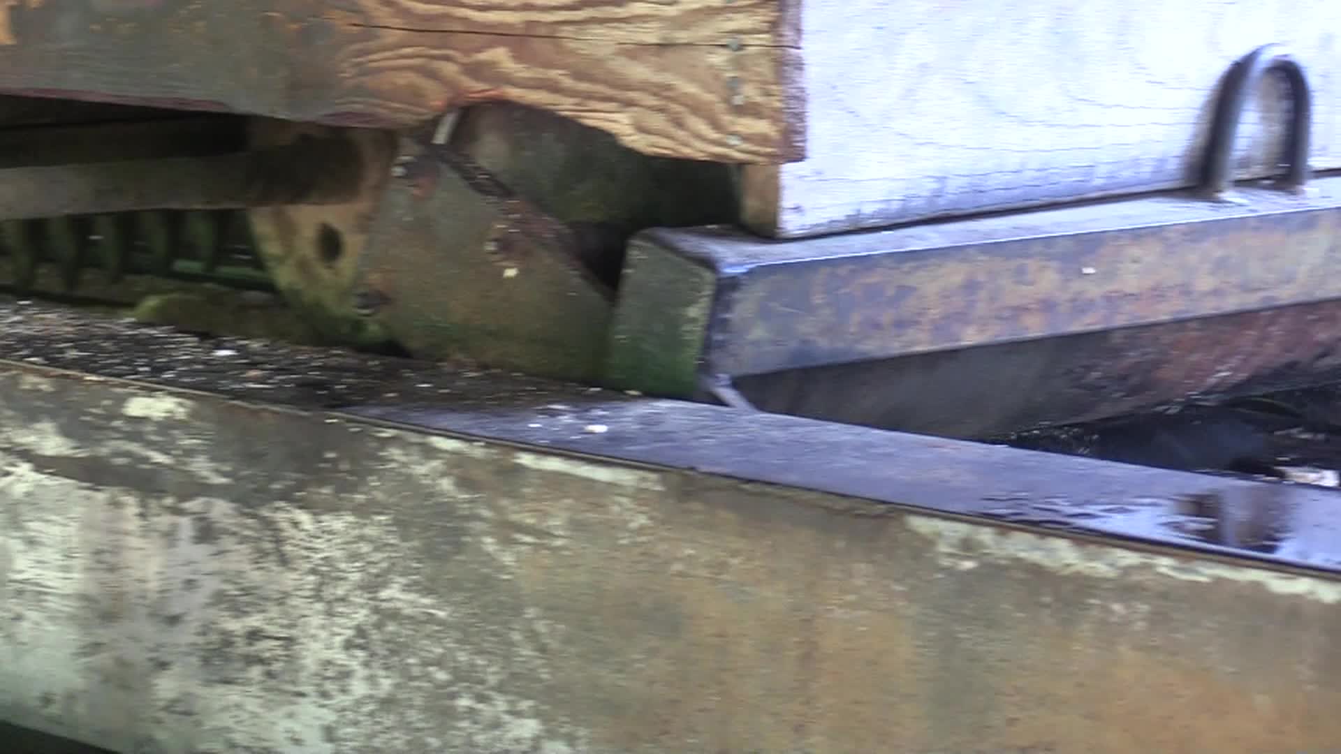 Local Documentaries - Bills Lumber