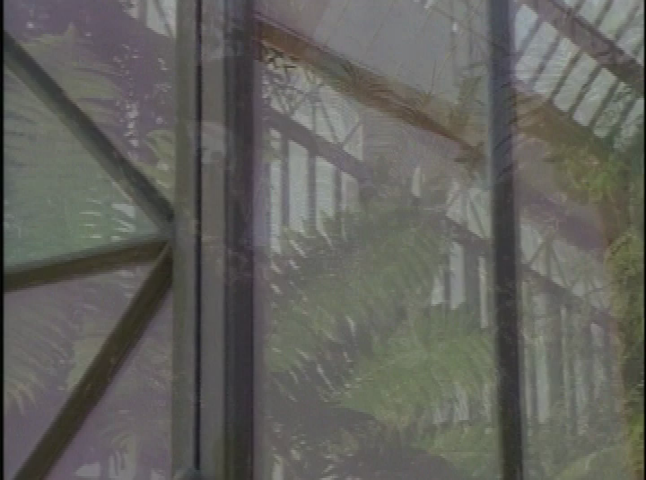 NGA - Henri Rousseau