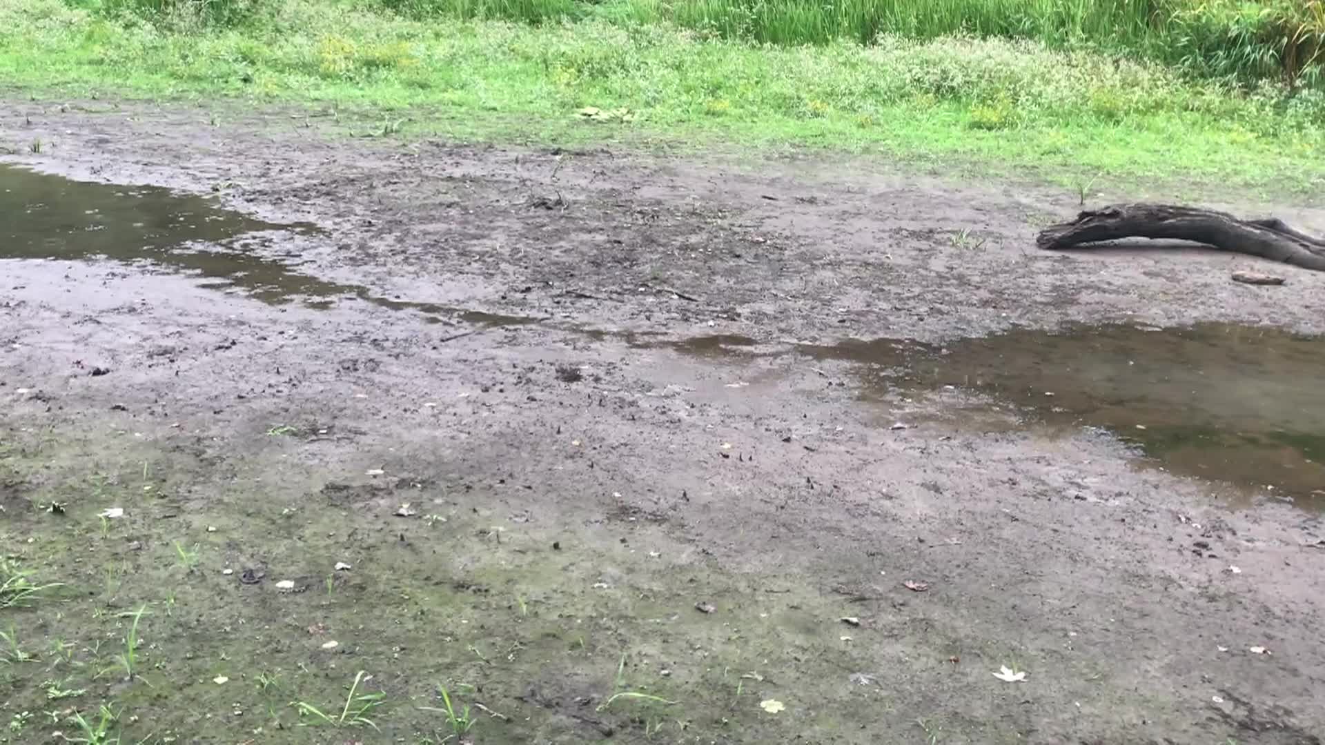 Rations - 20: A Face-Off in the Rain