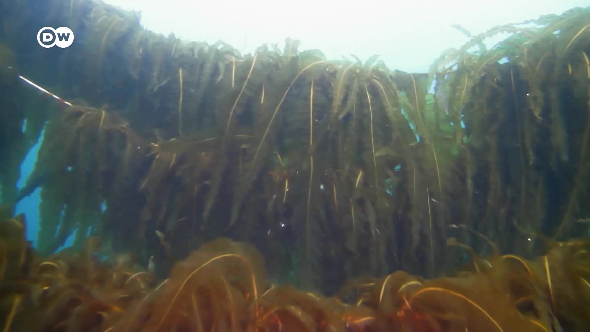 DW Tomorrow Today - 11/7/25