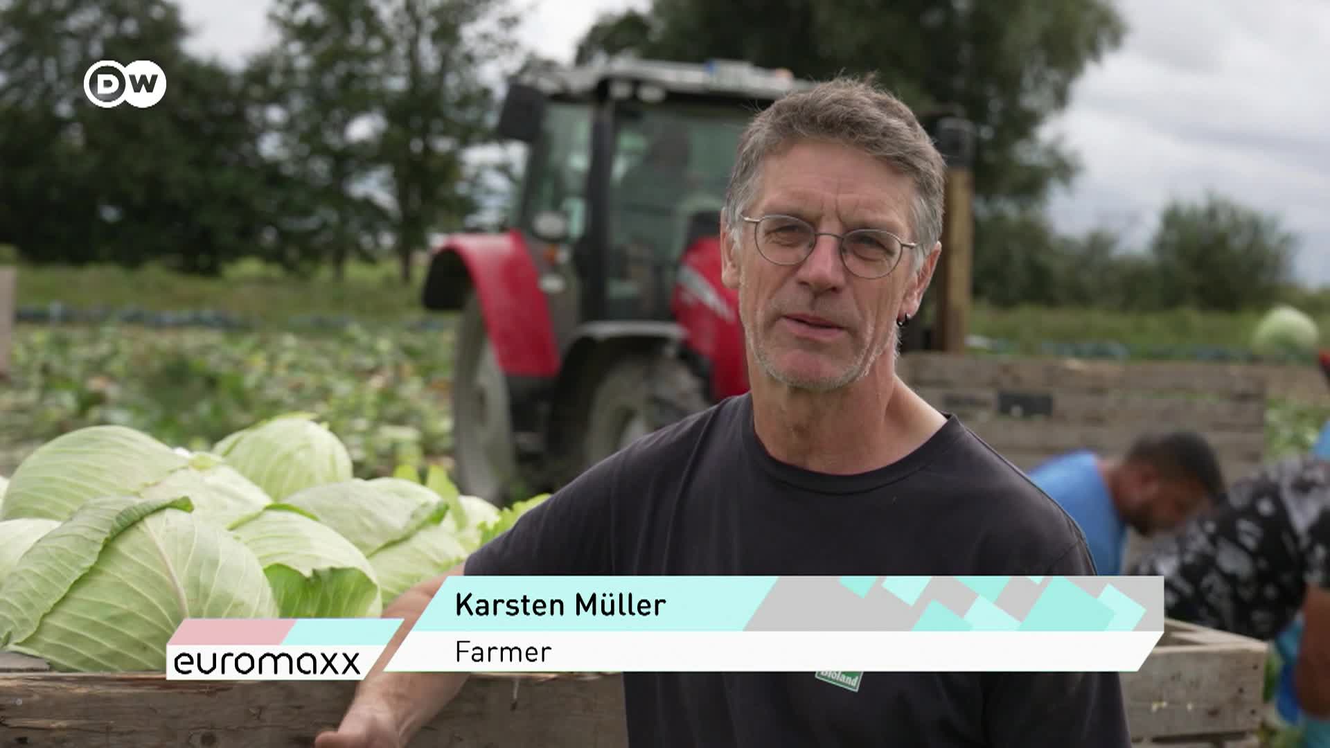 DW Euromaxx - 11/14/25