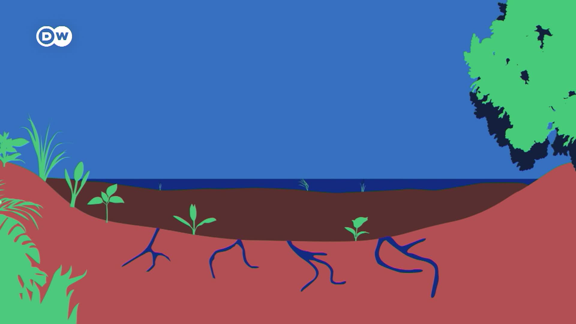 DW TomorrowToday - 11/17/25