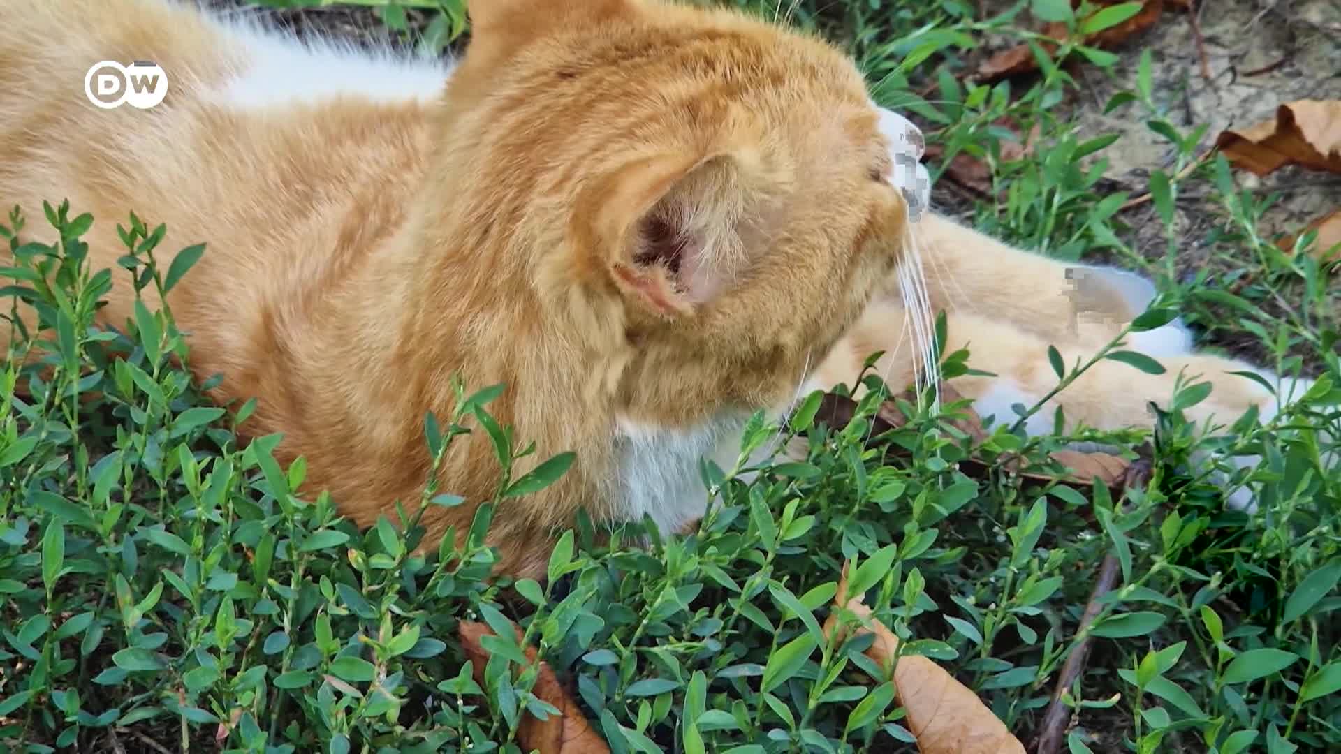 DW Tomorrow Today - 12/12/25