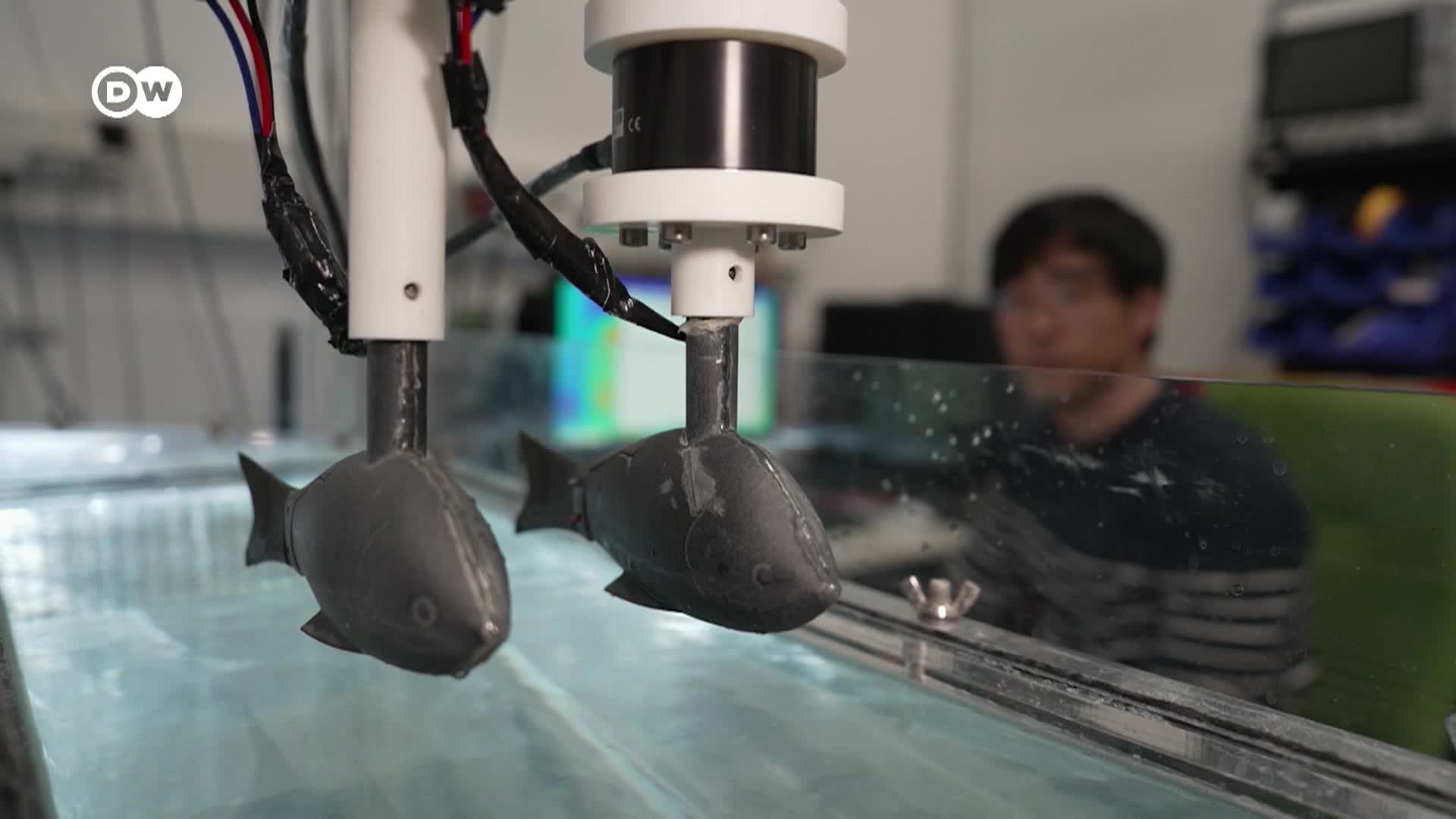 DW Tomorrow Today - 1/2/26