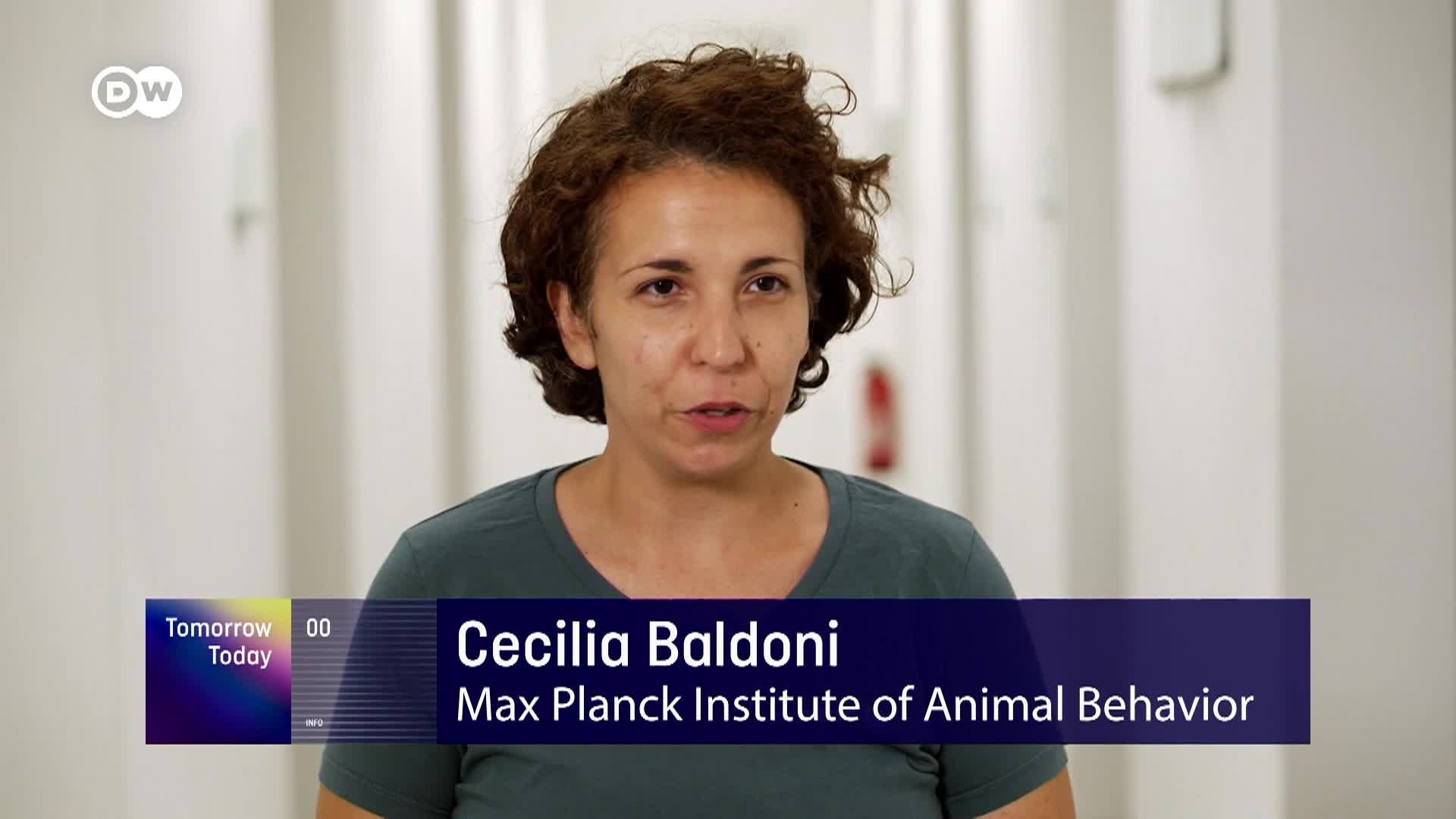 DW Tomorrow Today - 2/16/26