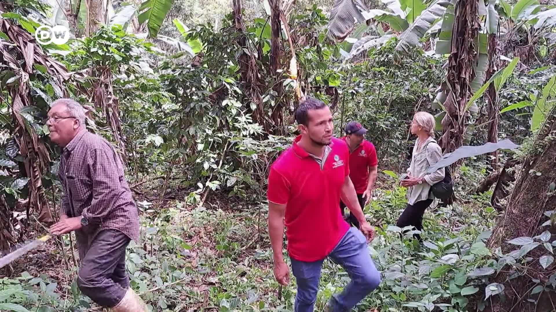 Thumbnail image for DW Euromaxx - 04/03/26