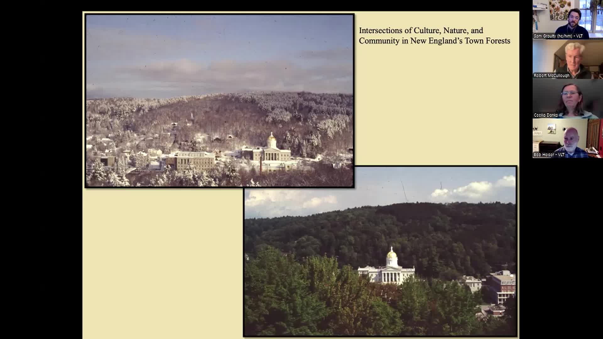 Thumbnail image for Vermont Land Trust - Vt.'s Town Forests