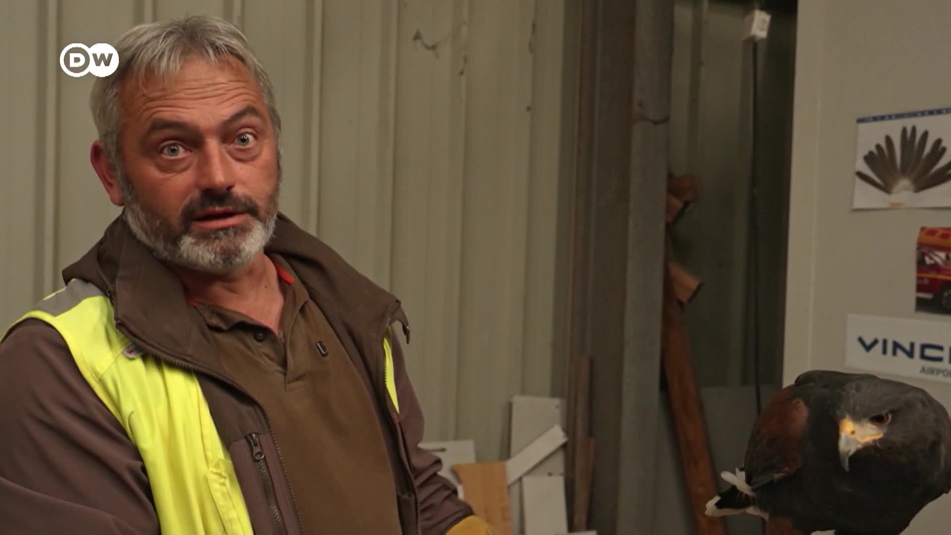 Thumbnail image for DW Focus On Europe - 04/08/26