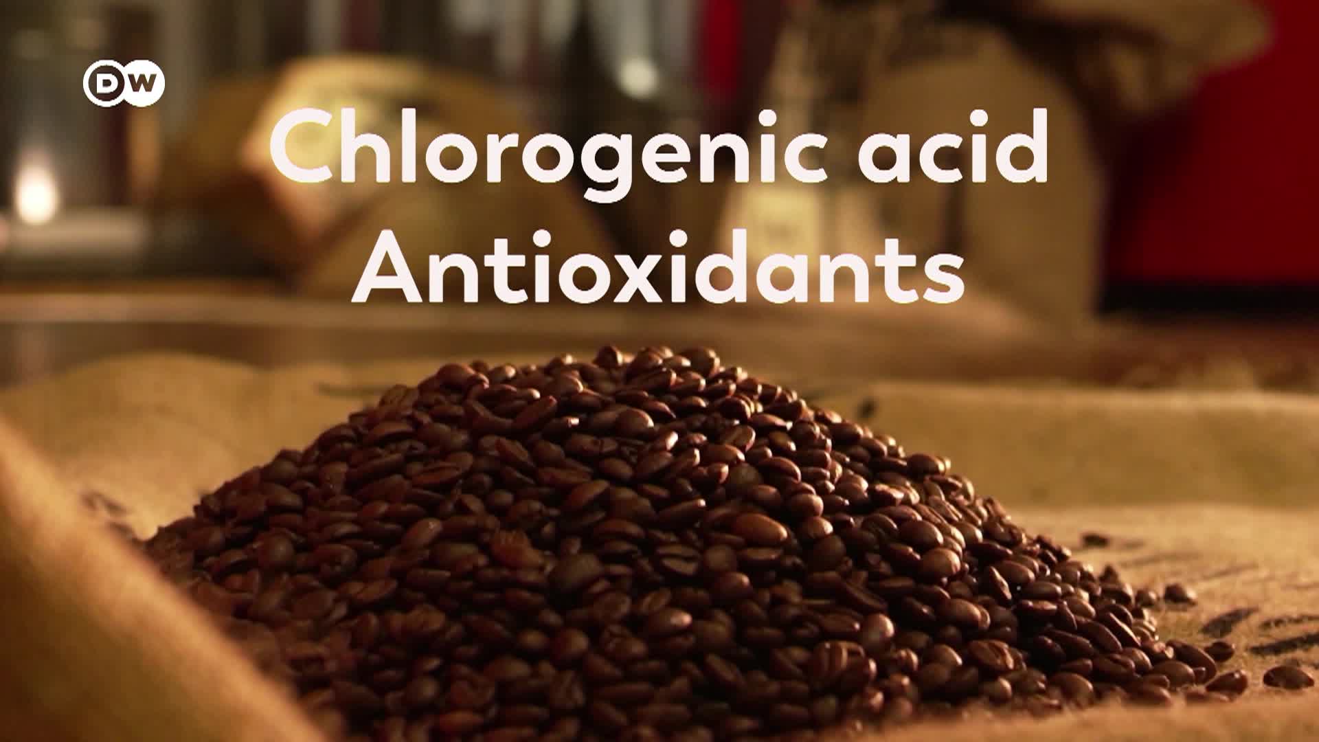 Thumbnail image for DW In Good Shape - 04/24/26