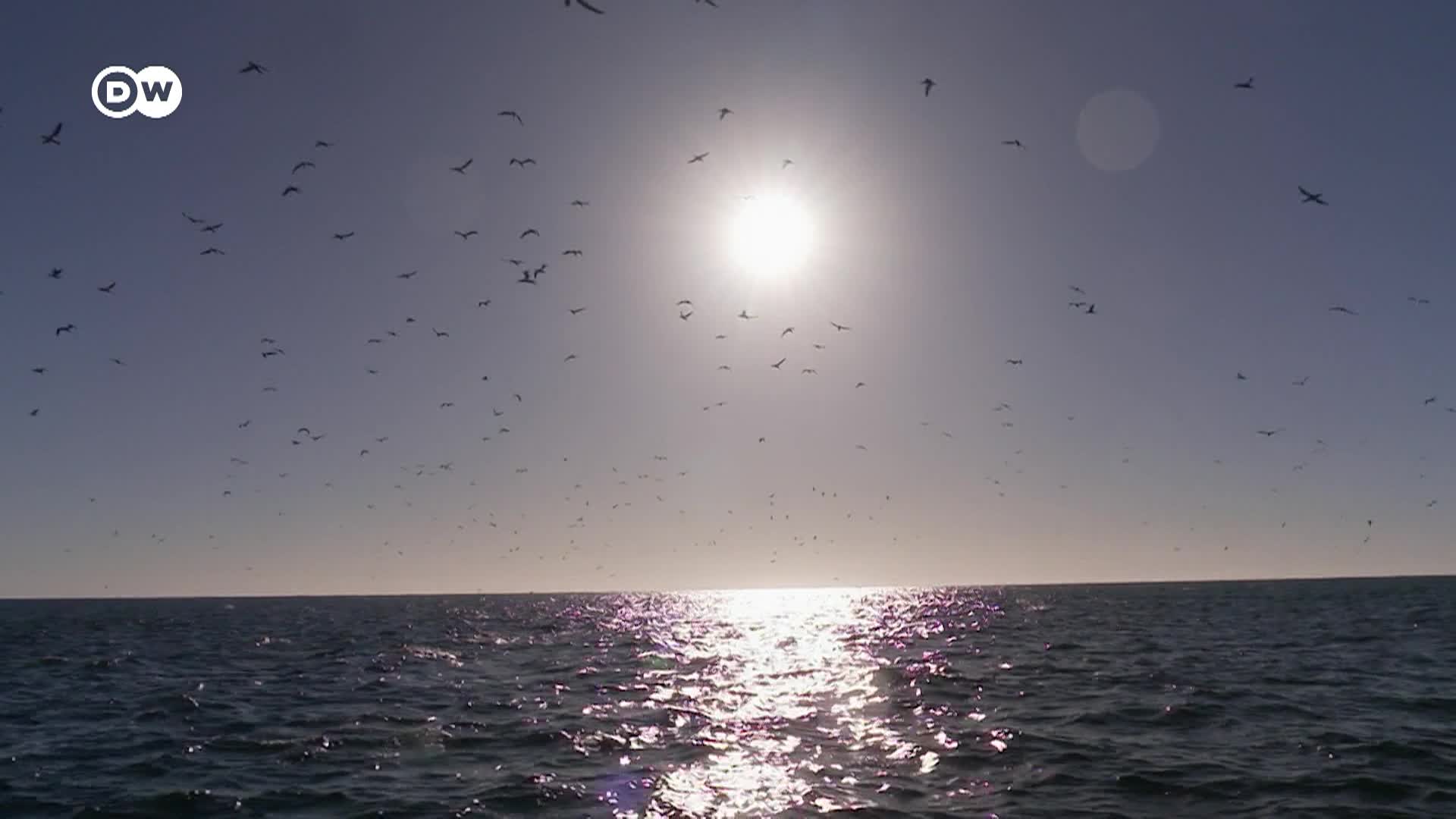 Thumbnail image for DW Global Us - 4/24/26