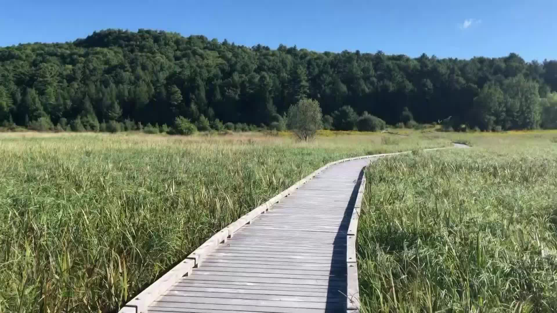 Experiencing Raven Ridge