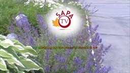 Navigate to Springfield Community Band - 8/9/22