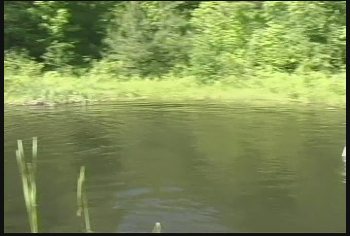 Thumbnail image for RVTC - Cardboard Boat Race 2004