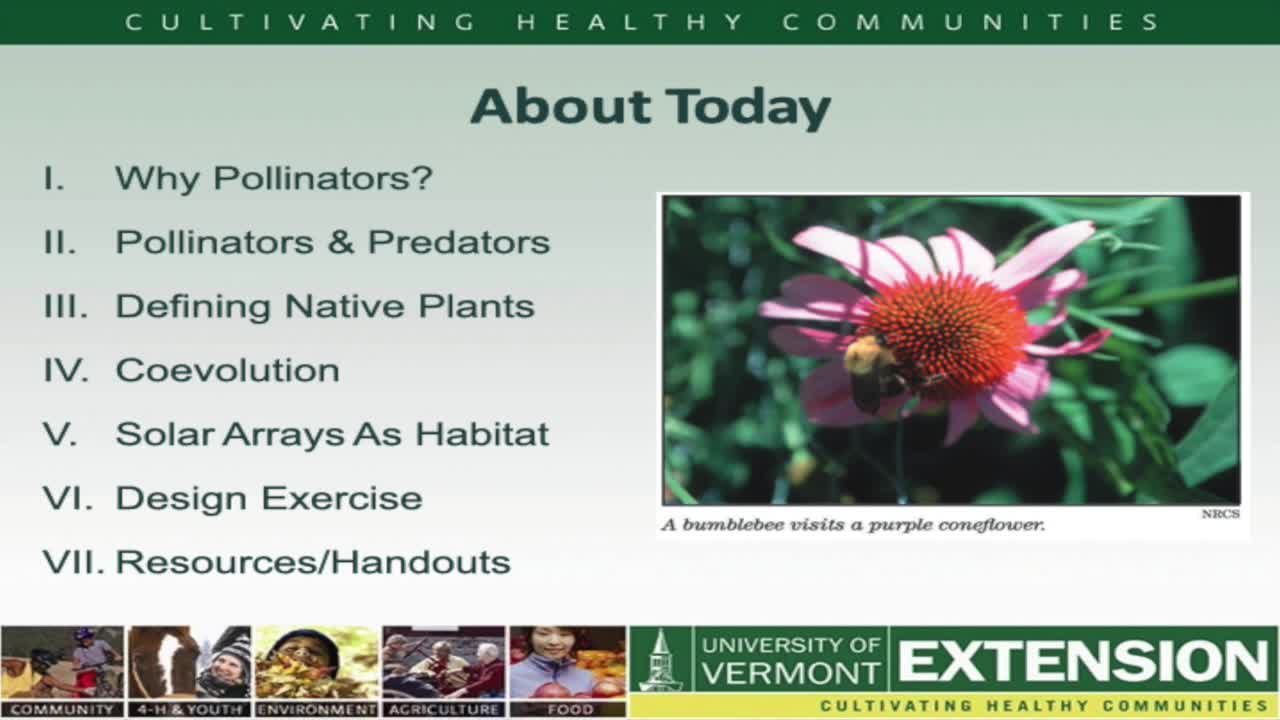 Thumbnail image for WPL - Prestigious Pollinators