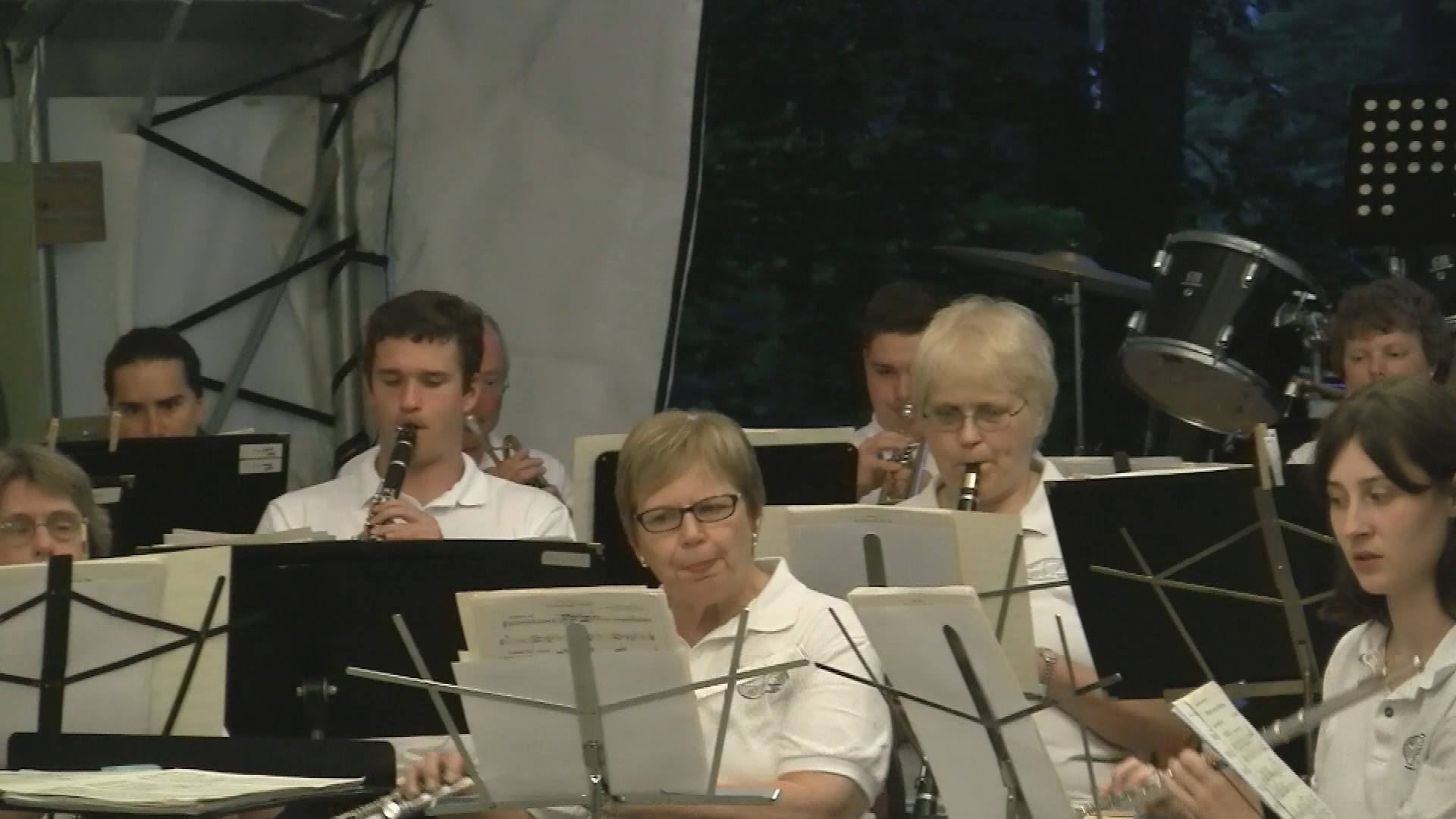 Navigate to Springfield Community Band - 7/12/16