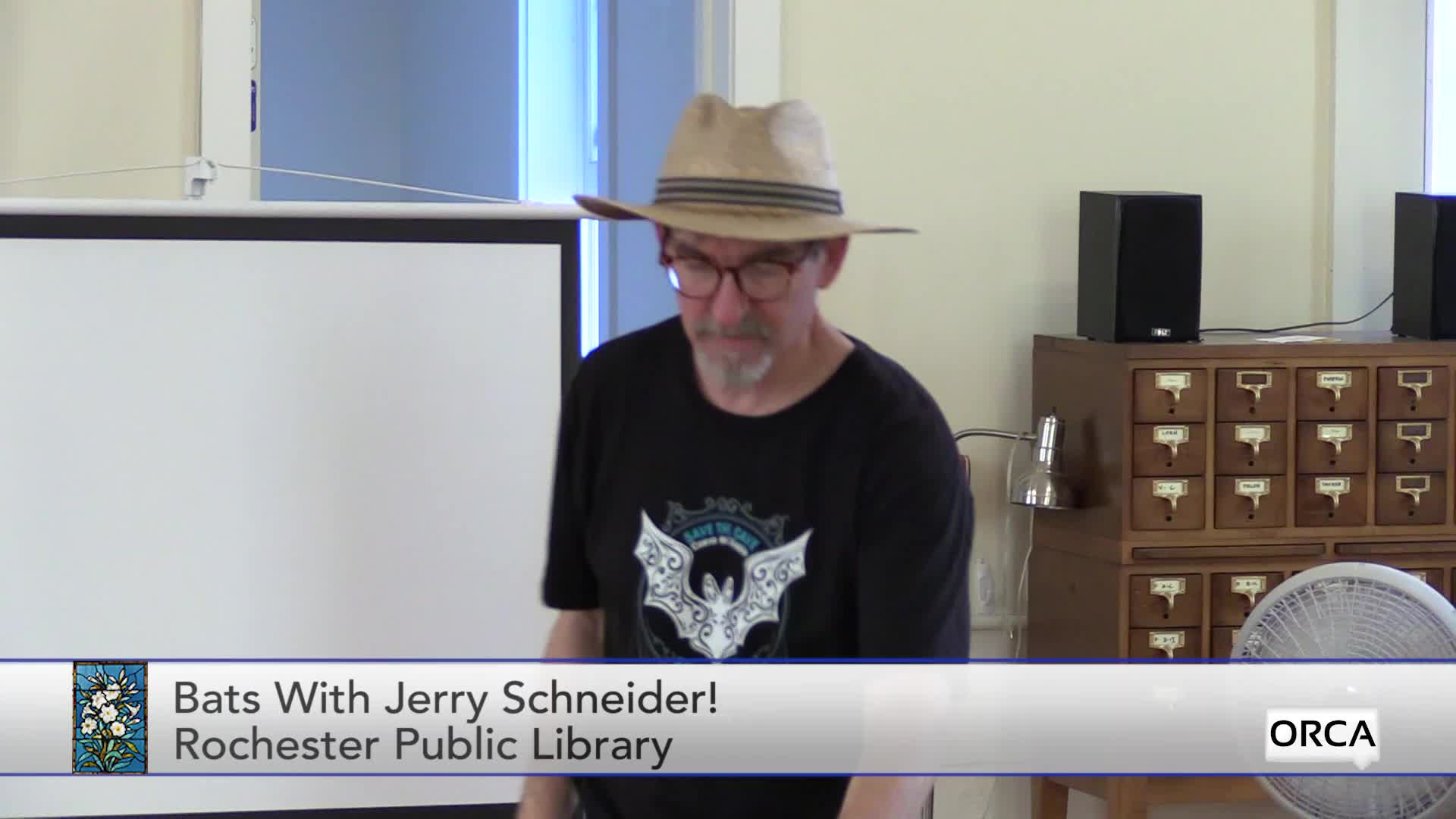 Rochester Public Library - Bats